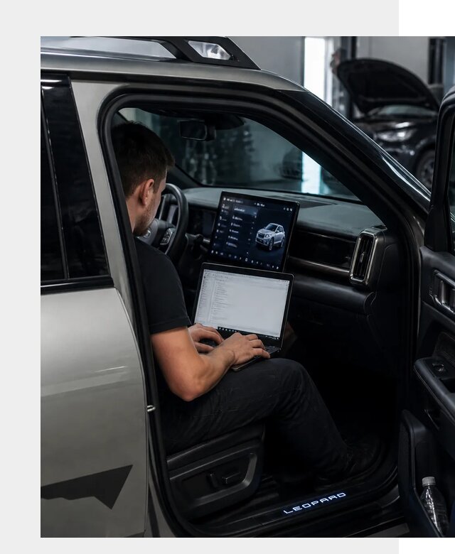 Русификация BYD Leopard 3 в Нижнем Новгороде по цене от 20738 р. | ФастМобиль-Ннн